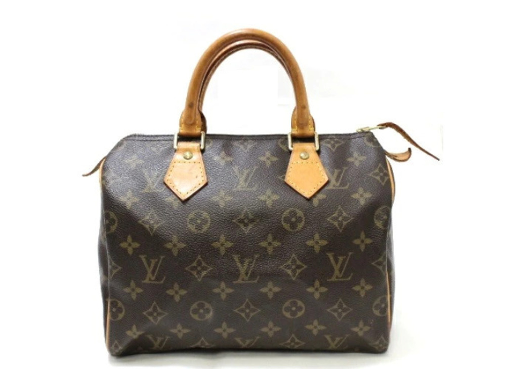 LOUIS VUITTON Speedy Monogram Handbag